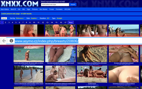 Pornographers hijack Google Image Search Results