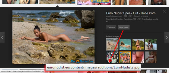 Pornographers hijack Google Image Search Results – using legitimate images of nudist’s websites